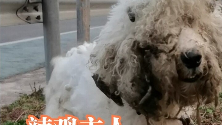 If you abandon it after developing it like this, what will it look like after it is cleaned up... Lo