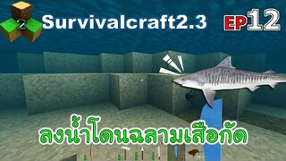 ลงน้ำโดนฉลามเสือกัด Survivalcraft 2.3 ep.12 [พี่อู๊ด JUB TV]