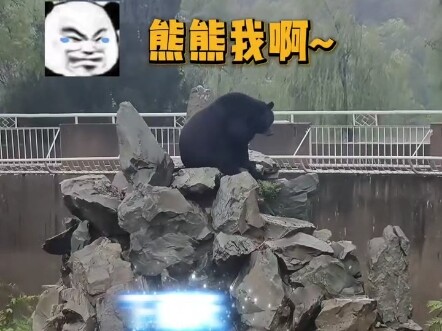 The keepers care about you, but you’re out there slandering them online, huh? #Zoo #Funny #EverySong