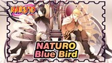 NATURO|【Cover】Theme Song of Naturo-Blue Bird