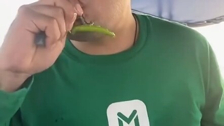 Can you really eat this?