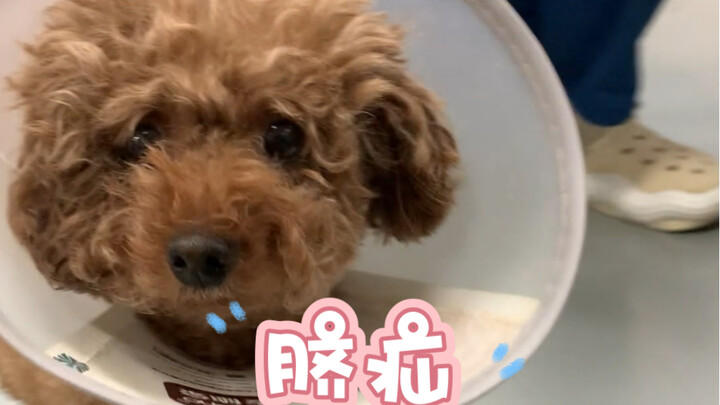 脐疝一般是先天性的，很小的话，不影响正常生活就不用理会，如果逐渐扩大那就需要及时就医了