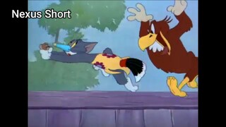 Tom & Jerry (Ep 21.2) Flirty Birdy (phần 2) #TomandJerry