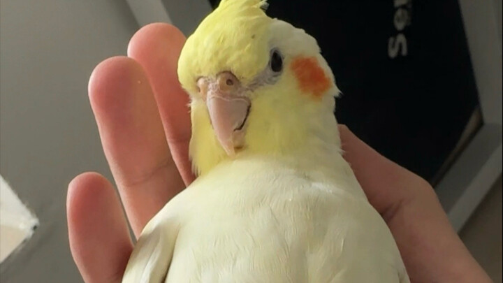 Lying down carries risks; lying for too long requires caution.