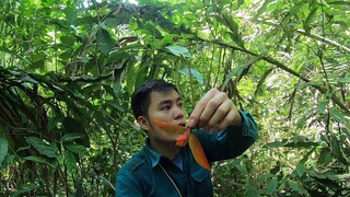 phải làm gì khi bị lạc trong rừng | Huyện Lê