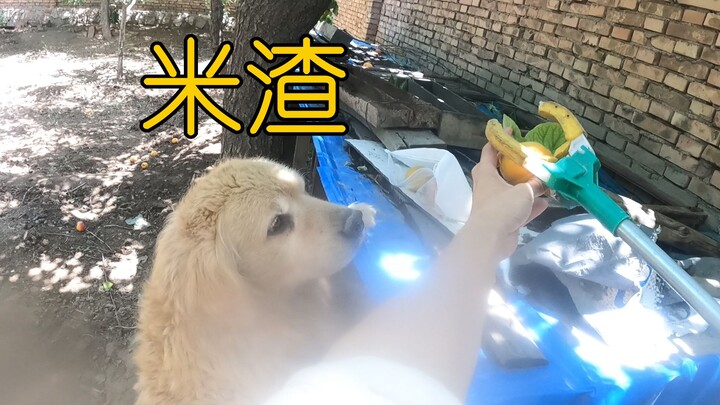 Why is there this totally random footage in the camera?