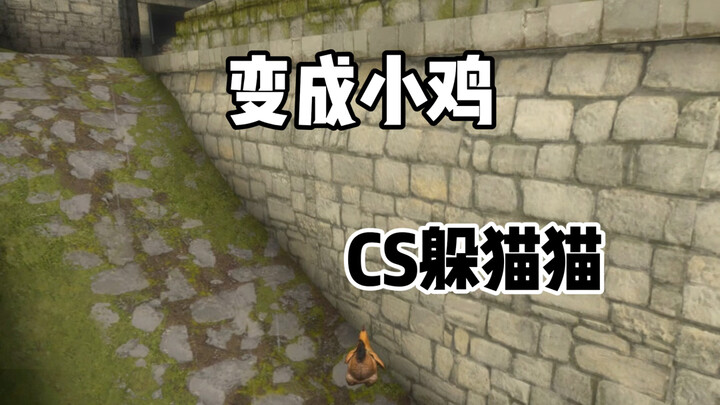 CS2躲猫猫:小鸡限时返场