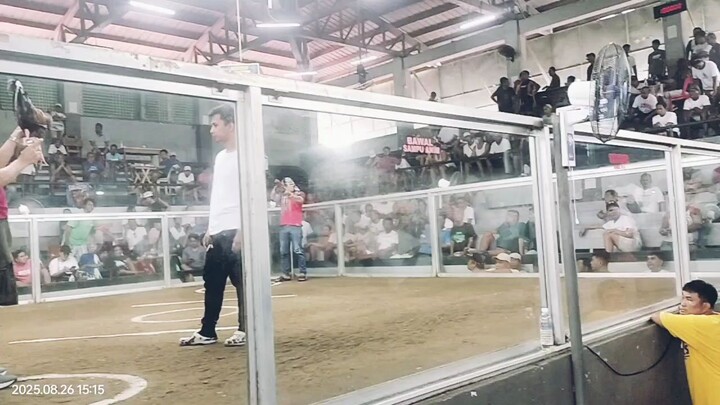 Ito yong Inakala mo panalo ng Panalo kana Dahil kitang kita mo na Lamang n Lamang yong Manok mo..