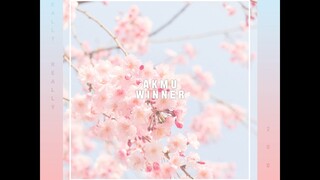 WINNER & AKMU - 'REALLY REALLY X 200%' MASHUP