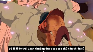 Top 5 Trái Zoan Thần Thoại Bá Đạo Nhất One Piece1