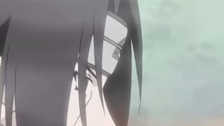 Taking stock of the rings of each Akatsuki member, why is Konan a white tiger?