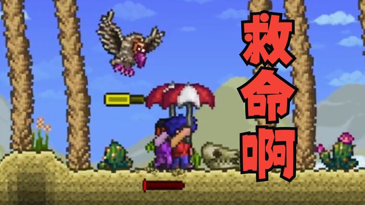 [Terra Double Player #1] Veteran Player Guides a Newcomer