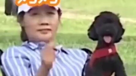 [ปาร์คชานยอล] ให้โดฟบอกคุณถึงสถานะครอบครัวที่ชัดเจนของปาร์คชานยอลใน 10 วินาที