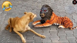 Funny Animal Videos 2024 😅 - Funniest Dogs and Cats Videos 😁 Ep 84