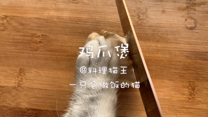 Kucingnya sudah jadi siluman, bikin semur ceker ayam!