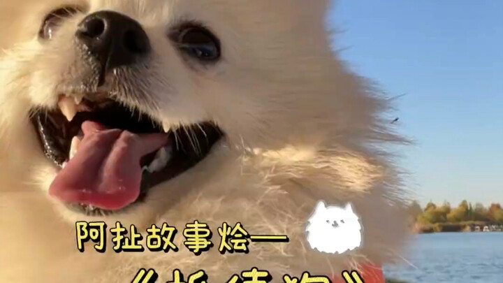 Anak anjing bukan sekadar hewan peliharaan; terkadang, mereka juga jadi semangat dan harapan seseora