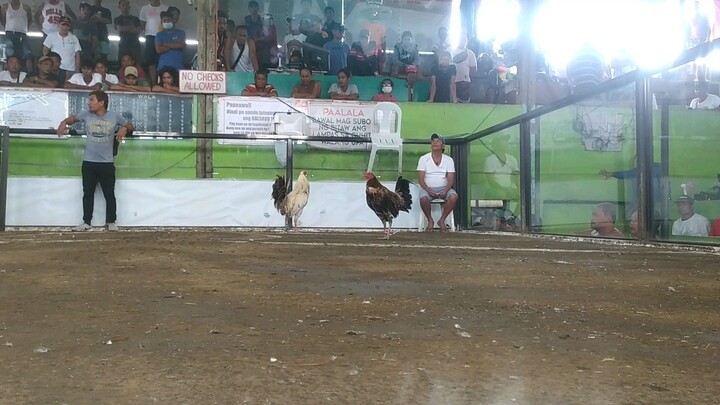 ELBI MariaMakiling Henny in action ❤️