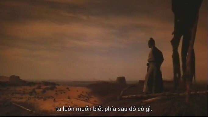 [Vietsub] Đông tà Tây độc (1994)
