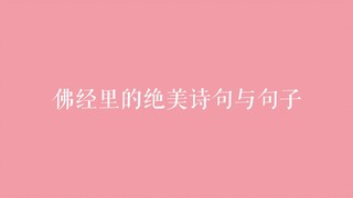 从佛经里感受诗句与禅语的美。愿你一切安好。