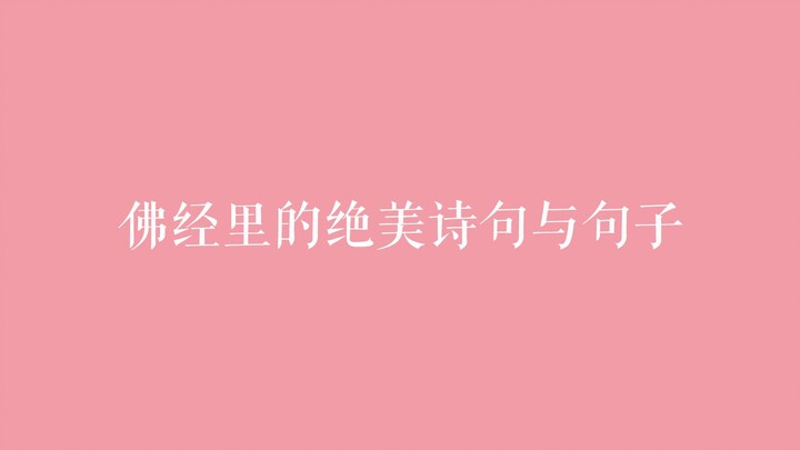 从佛经里感受诗句与禅语的美。愿你一切安好。