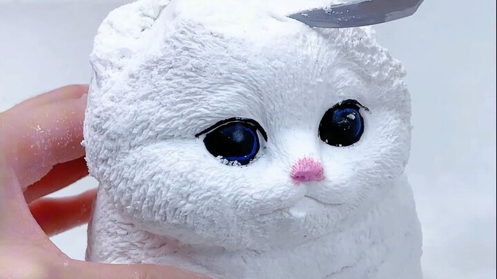 "Đồ bóp thư giãn" 🐱🐾🌽🍪🐤💰🔮