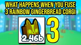 What Happens When You Fuse 3 Rainbow Gingerbread Corgi in Pet Simulator X