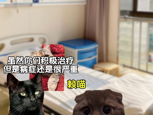 这大概就是爱情最初的摸样吧