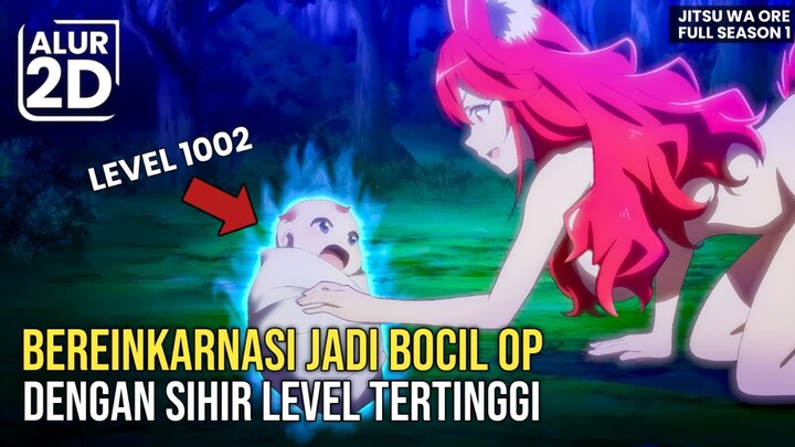 ANAK INI BEREINKARNASI KE ISEKAI MENJADI PENYIHIR LEVEL MAX