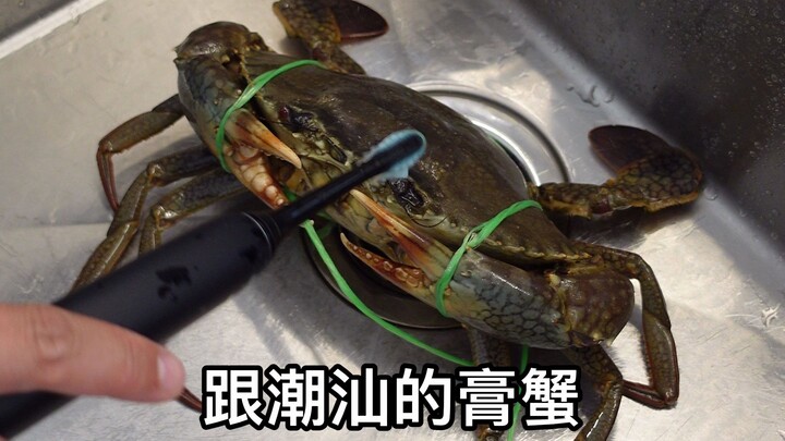Acar mentah Chaozhou yang kalian tunggu-tunggu sudah hadir lagi, apakah ini benar-benar kepiting ber