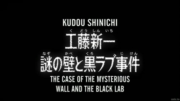 Meitantei Conan Magic File 02 - Shinichi Kudo, The Case of the Mysterious Wall and the Black Lab