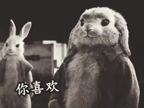 Câu đầu tiên thật tệ, câu thứ hai thật đau lòng