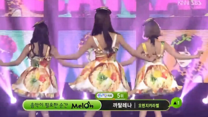 War Double Blind Box