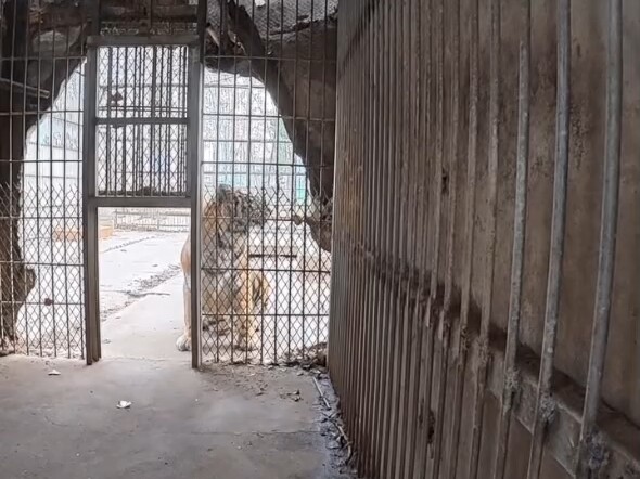 Hubungan aku sama anak bulu ku bener-bener super dekat! Kita berdua memang yang paling ajaib di duni