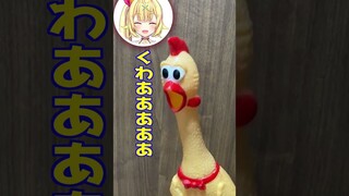 【เกมลงโทษ】ไก่กรีดร้อง แต่ซิงฉวน