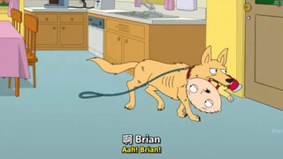饺子被狗叼走前让brian删除历史浏览记录