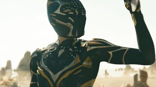 金钱豹与黑豹结合体-黑豹二代