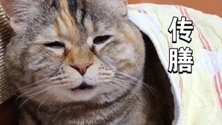 《Bài phú thức dậy》