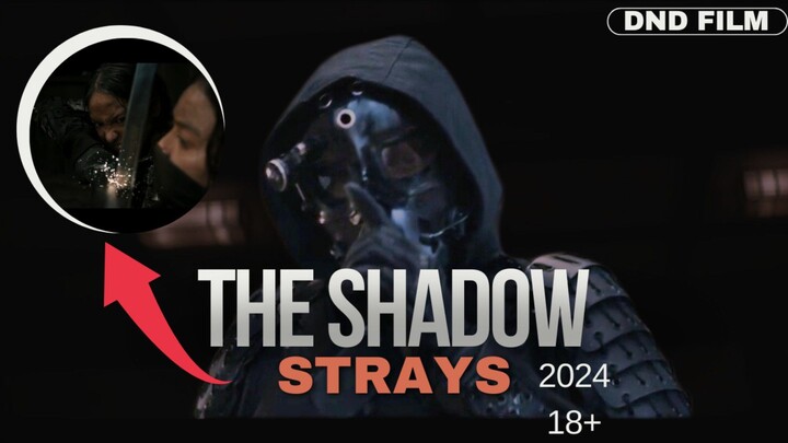 SINOPSIS THE SHADOW STRAYS (2024) - FILM ACTION INDONESIA TERBAIK NIH !!
