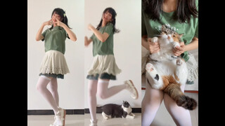 HACK Cat Fitness Edition