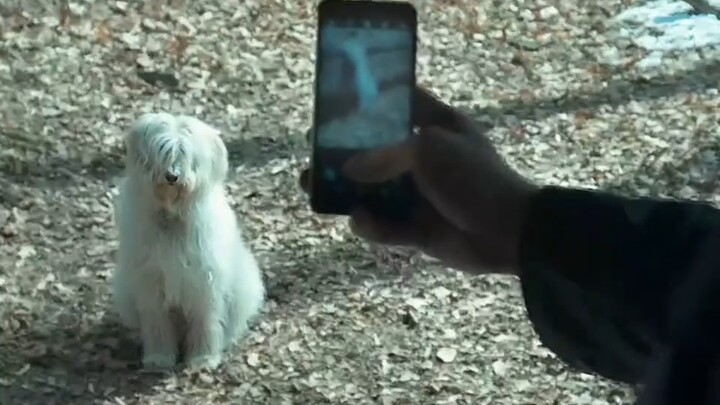 顶级杀手精心策划暗杀任务，一切都在他的掌握之中 < 大师 > " "大师 "2025...