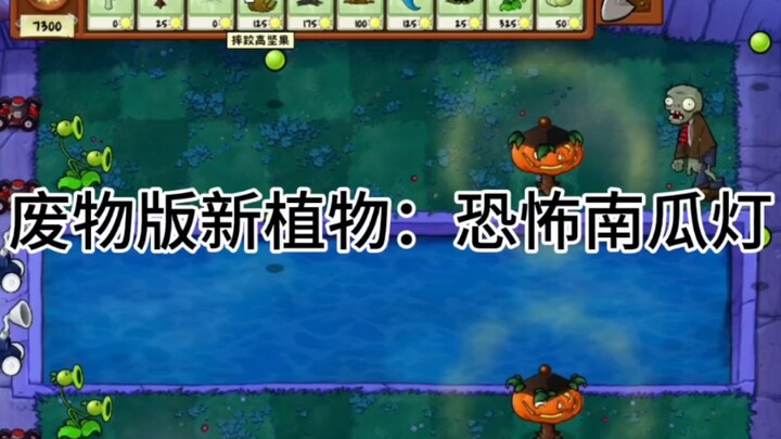 พืชใหม่เวอร์ชันไร้ประโยชน์: โคมไฟฟักทองสุดสยอง