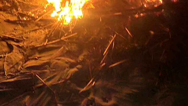 Bonfire