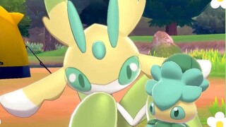 [Pokémon Sword and Shield] Ah Wei đã chết! Bọ ngựa phong lan thật dễ thương! ~ Hoa bọ ngựa phong lan nhấp nháyGet√