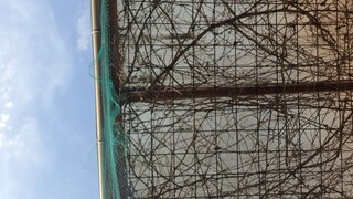 PODCAST 004 - PATIENCE