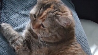 Mom's been asleep for so long—will she ever wake up again?