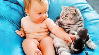เด็กตลกเล่นกับแมว - เด็กแรกเกิดและสัตว์เลี้ยง