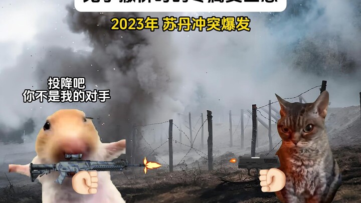 الشعور الفريد بالأمان الذي يمنحه الأرنب أثناء عمليات الإجلاء