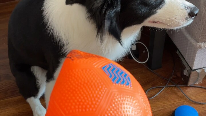 นี่คือเหตุผลที่คุณลุงมีของเล่นน้อย [แสบตา]