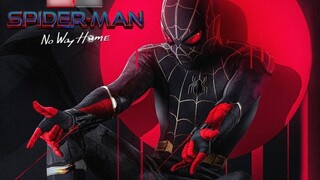 [Spider-Man: No Return] When the classic music of Spider-Man played at the end of the film, I got go