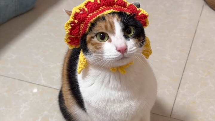 Who taught it to wave like that?